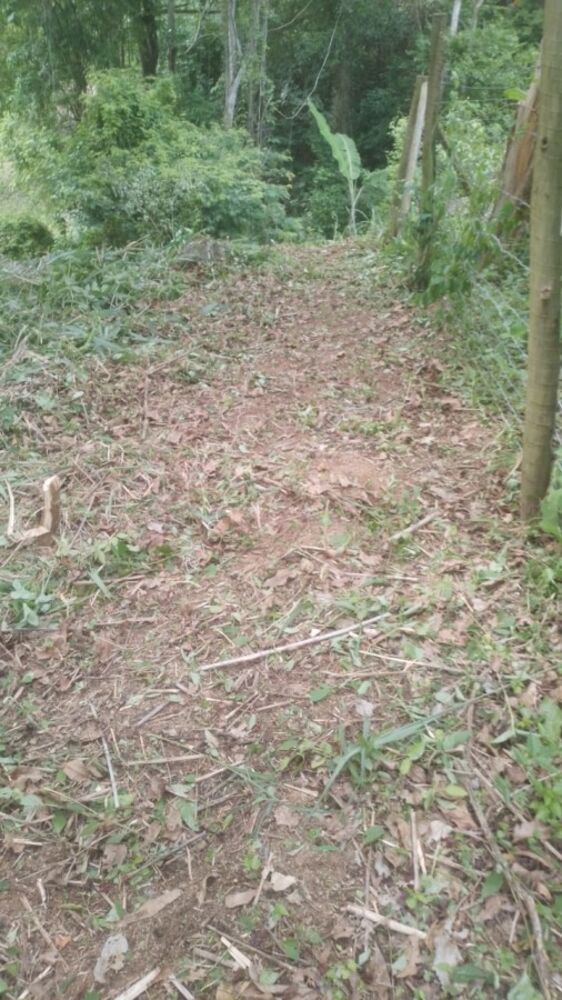 Sítio, 2209 m² - Foto 30