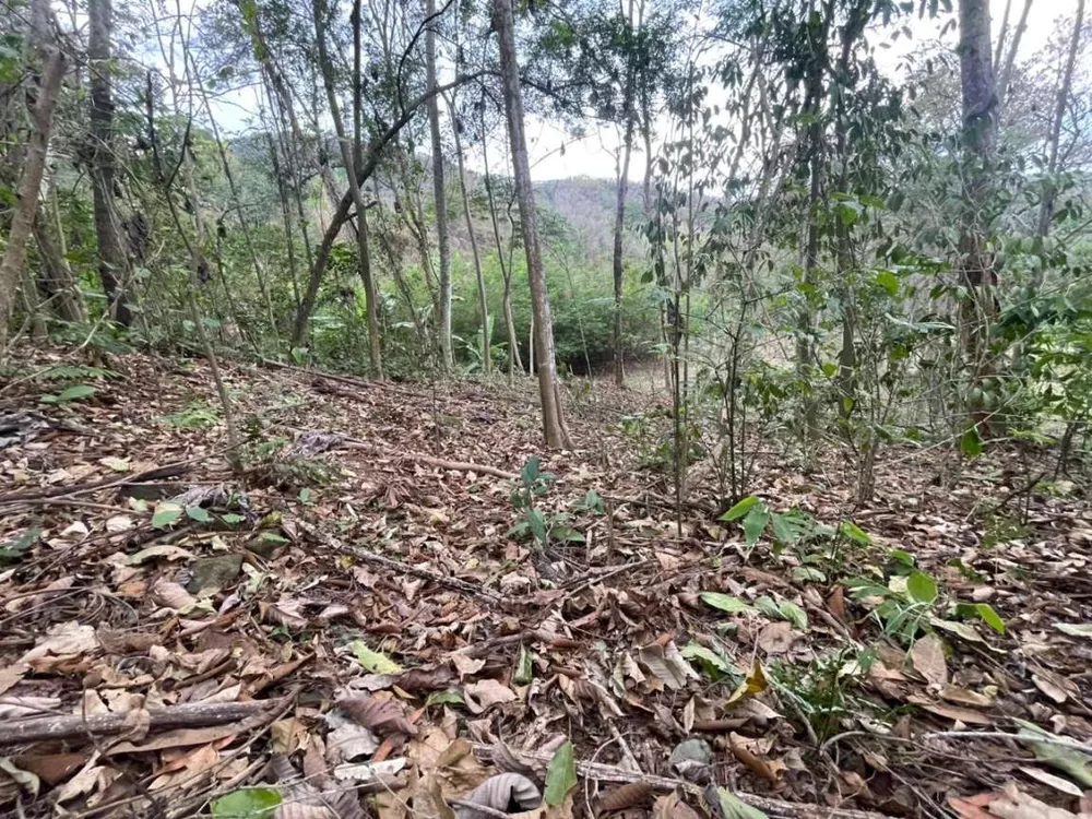 Sítio, 2209 m² - Foto 7