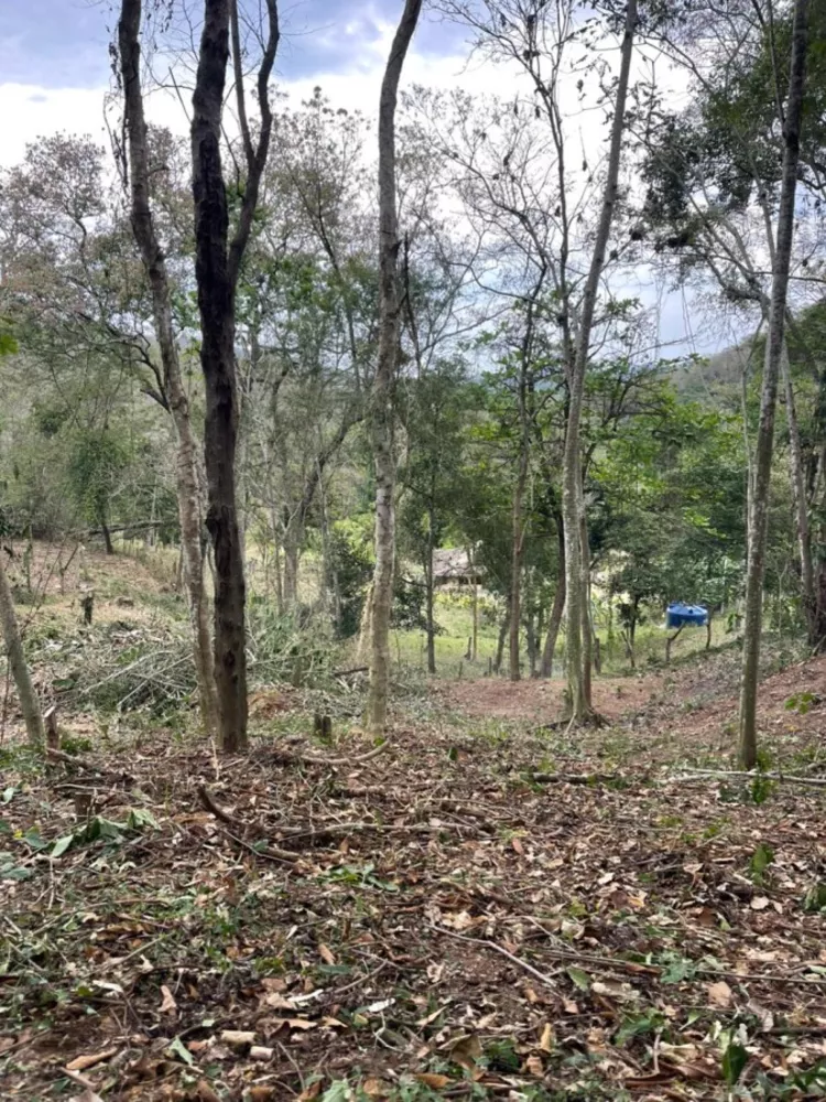 Sítio, 2209 m² - Foto 22