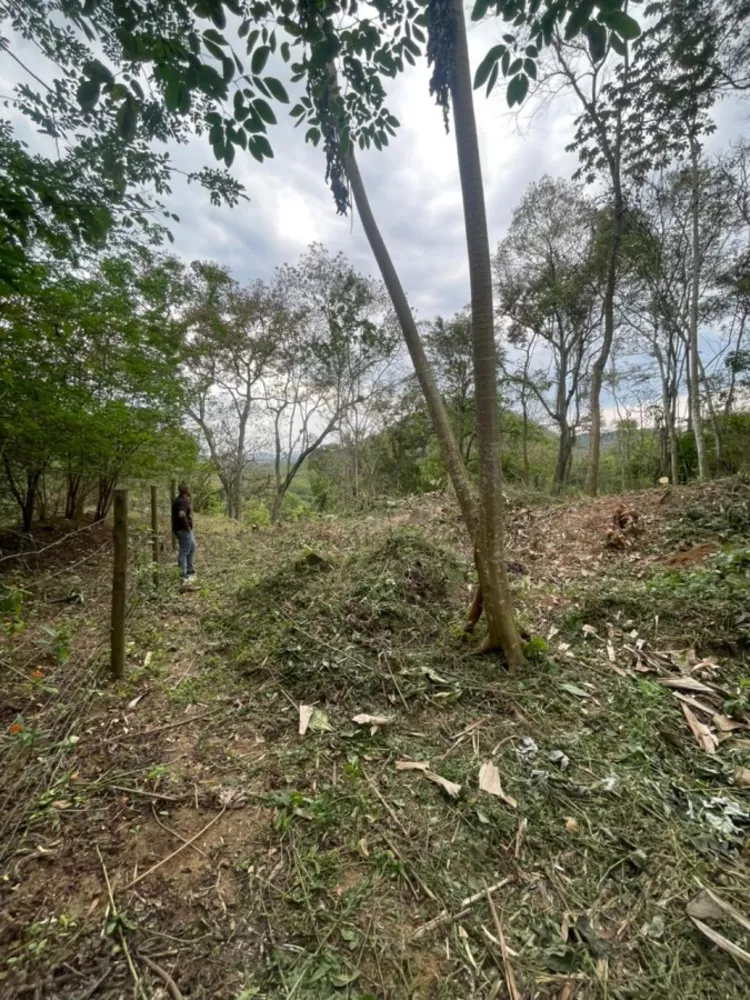 Sítio, 2209 m² - Foto 24