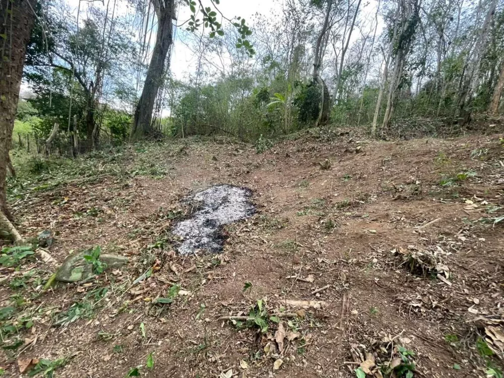 Sítio, 2209 m² - Foto 25