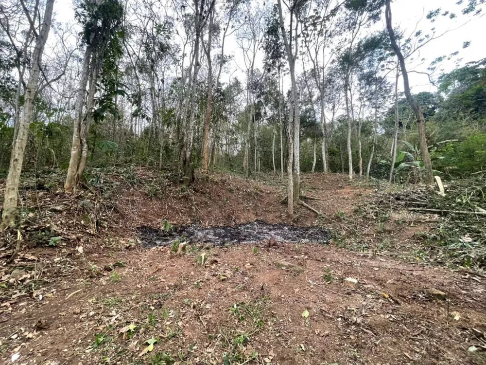 Sítio, 2209 m² - Foto 18