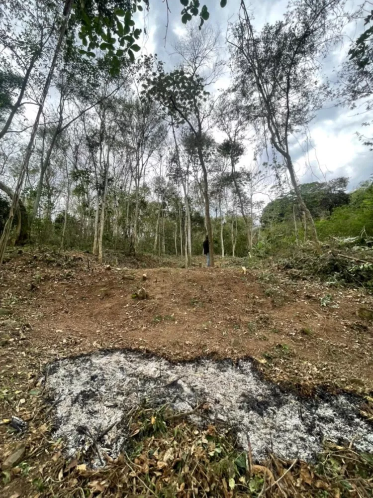 Sítio, 2209 m² - Foto 12