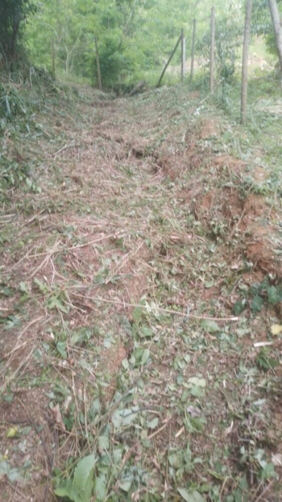 Sítio, 2209 m² - Foto 27