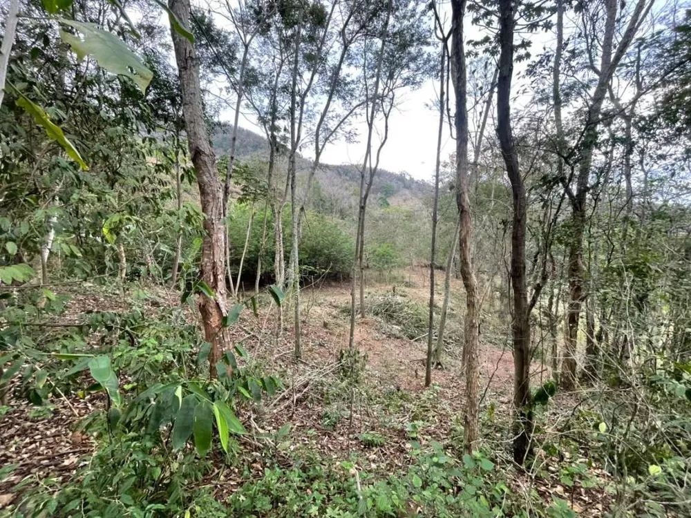 Sítio, 2209 m² - Foto 13