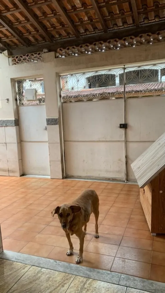 Casa, 2 quartos - Foto 40