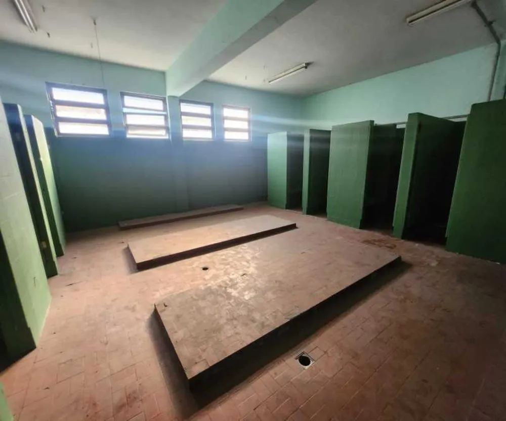 Depósito-Galpão, 6000 m² - Foto 23