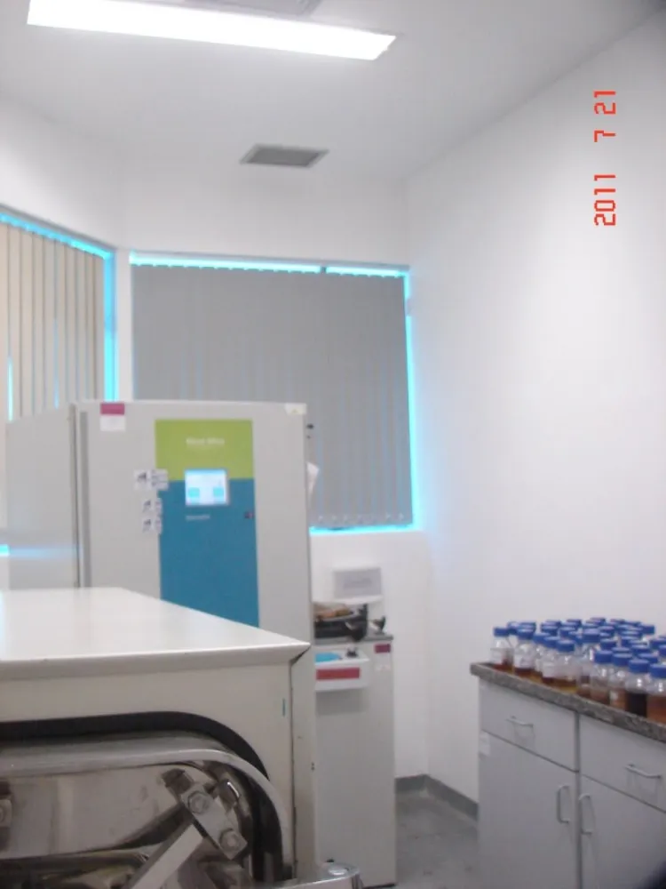 Depósito-Galpão, 2000 m² - Foto 33
