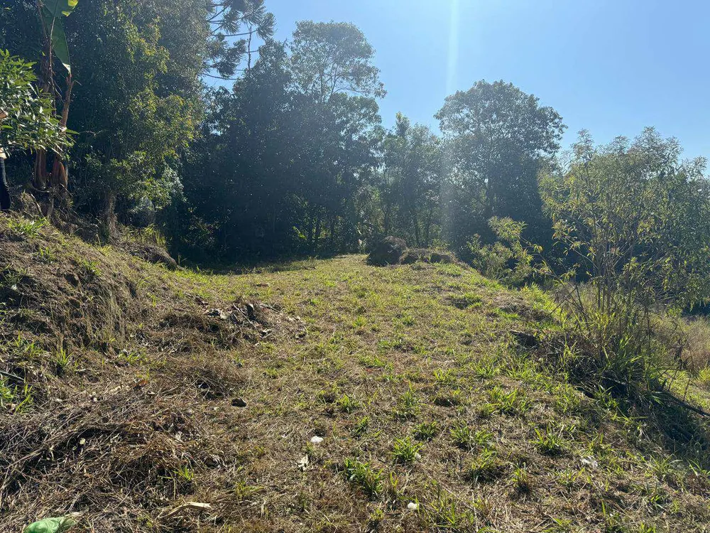 Terreno, 3800 m² - Foto 2