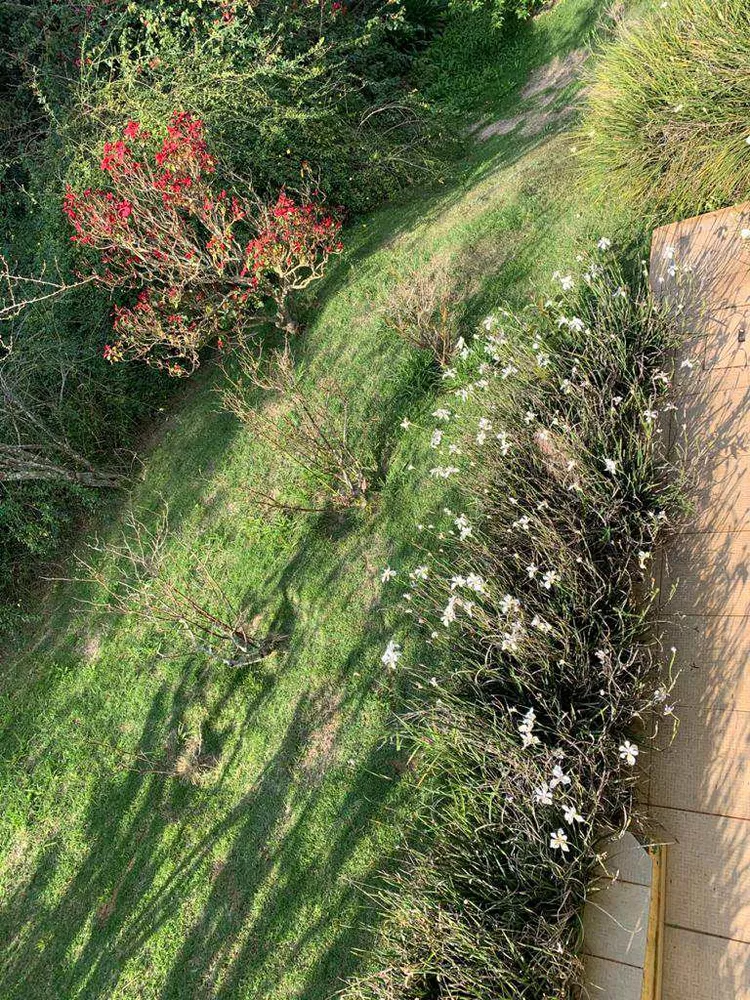 Chácara, 3 hectares - Foto 10