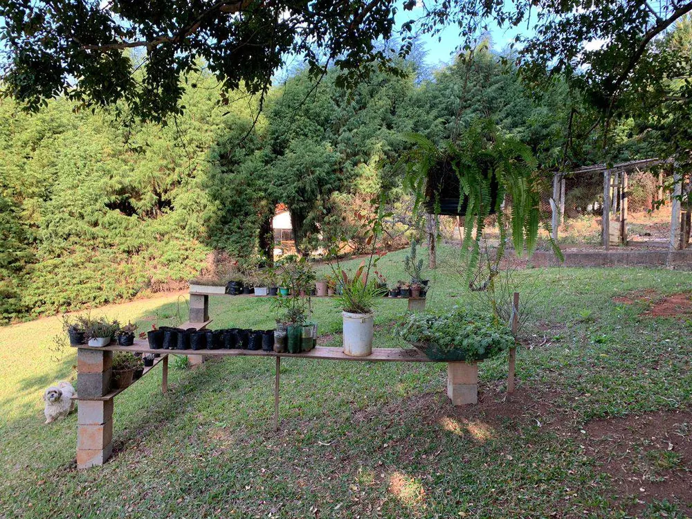 Chácara, 3 hectares - Foto 12