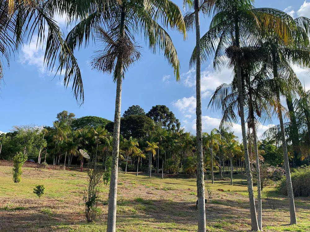 Chácara, 3 hectares - Foto 11