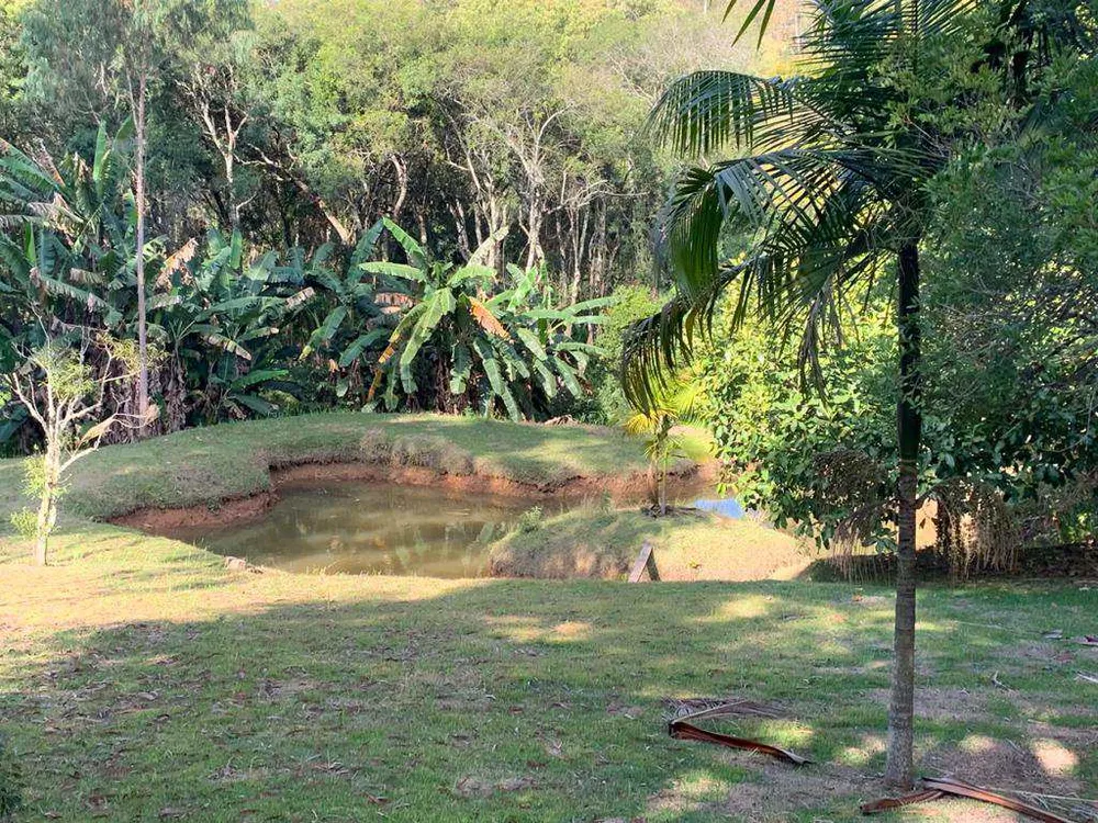 Chácara, 3 hectares - Foto 8