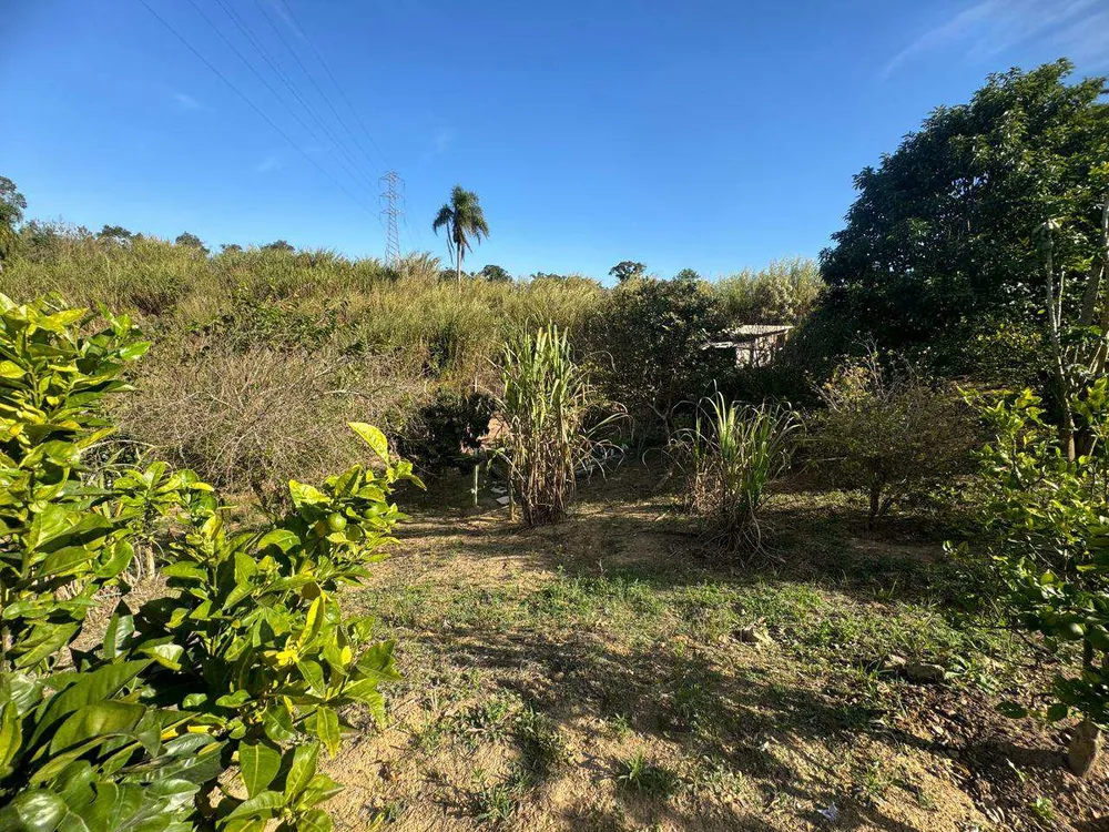 Chácara, 2 quartos, 9300 m² - Foto 12