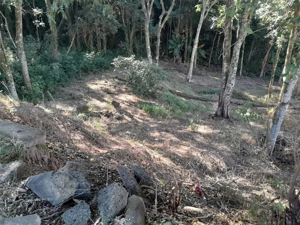Terreno, 328 m² - Foto 2