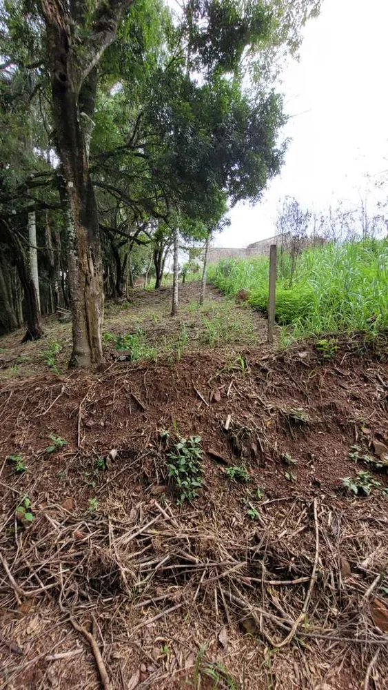 Terreno, 1000 m² - Foto 2