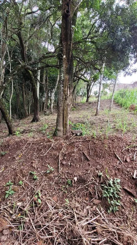 Terreno, 1000 m² - Foto 3