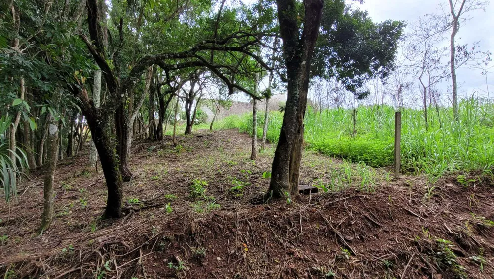 Terreno, 1000 m² - Foto 4