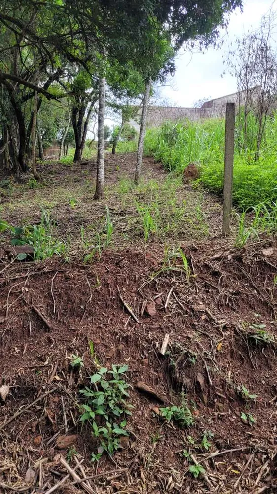 Terreno, 1000 m² - Foto 1