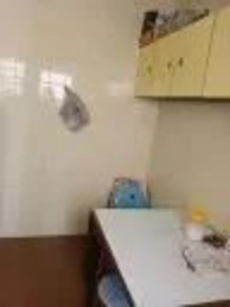 Apartamento, 1 quarto, 60 m² - Foto 8