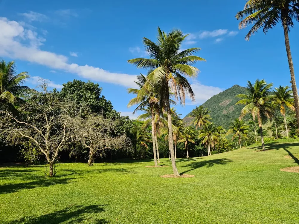 Sítio, 4 quartos - Foto 20