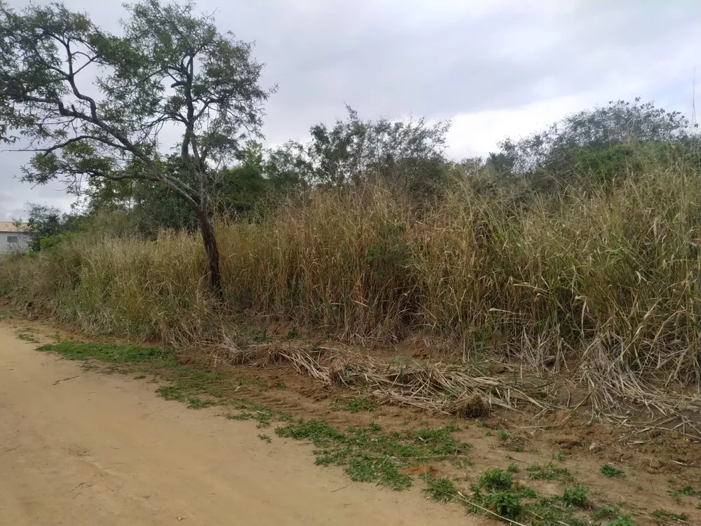 Terreno à venda, 600m² - Foto 3