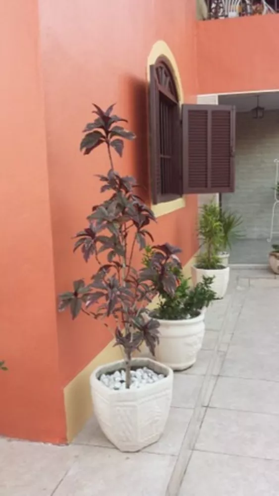 Casa, 3 quartos - Foto 14