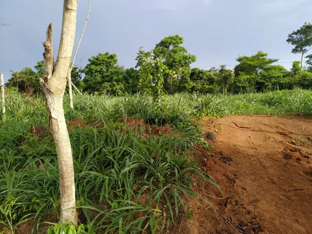 Terreno, 450 m² - Foto 9