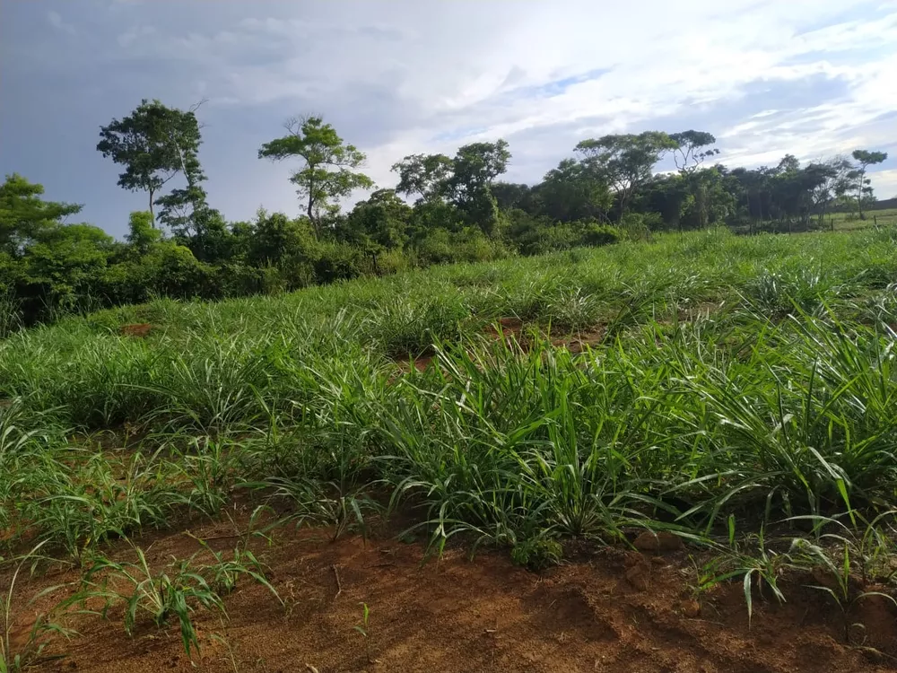 Terreno, 450 m² - Foto 8