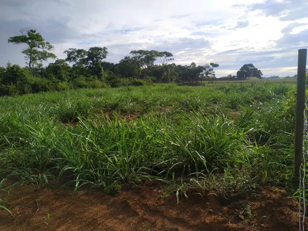 Terreno, 450 m² - Foto 2