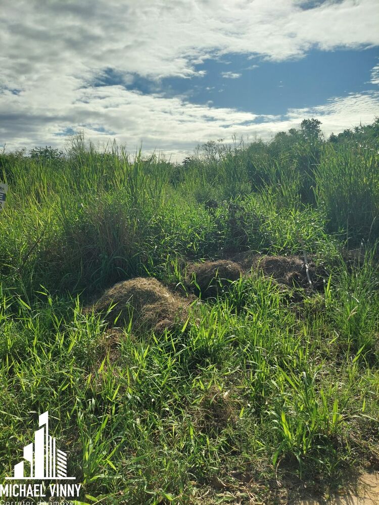 Terreno, 600 m² - Foto 5