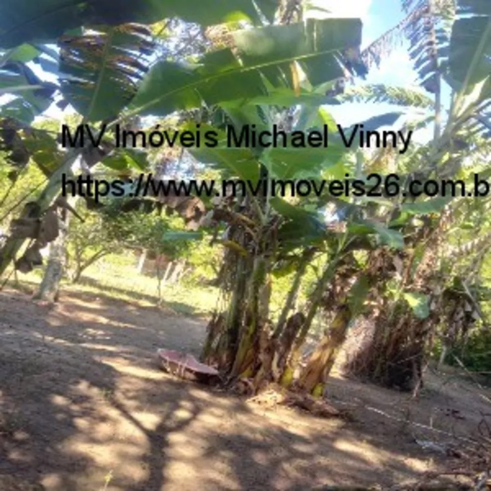 Terreno, 2000 m² - Foto 15