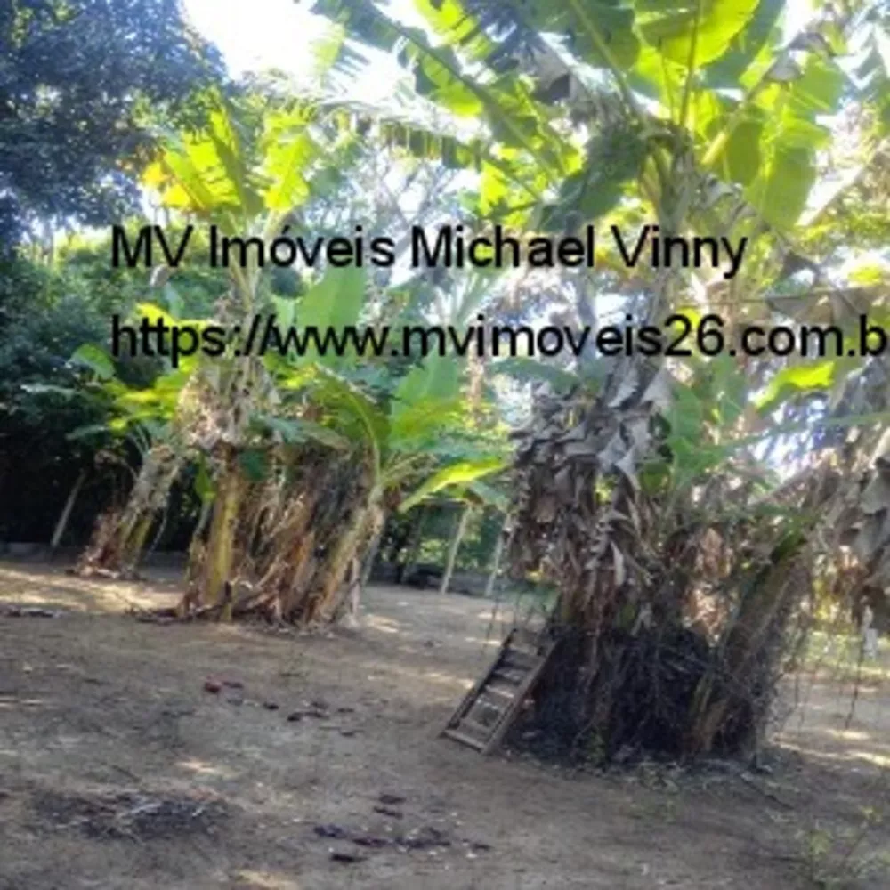 Terreno, 2000 m² - Foto 14