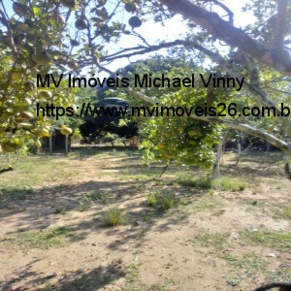 Terreno, 2000 m² - Foto 5