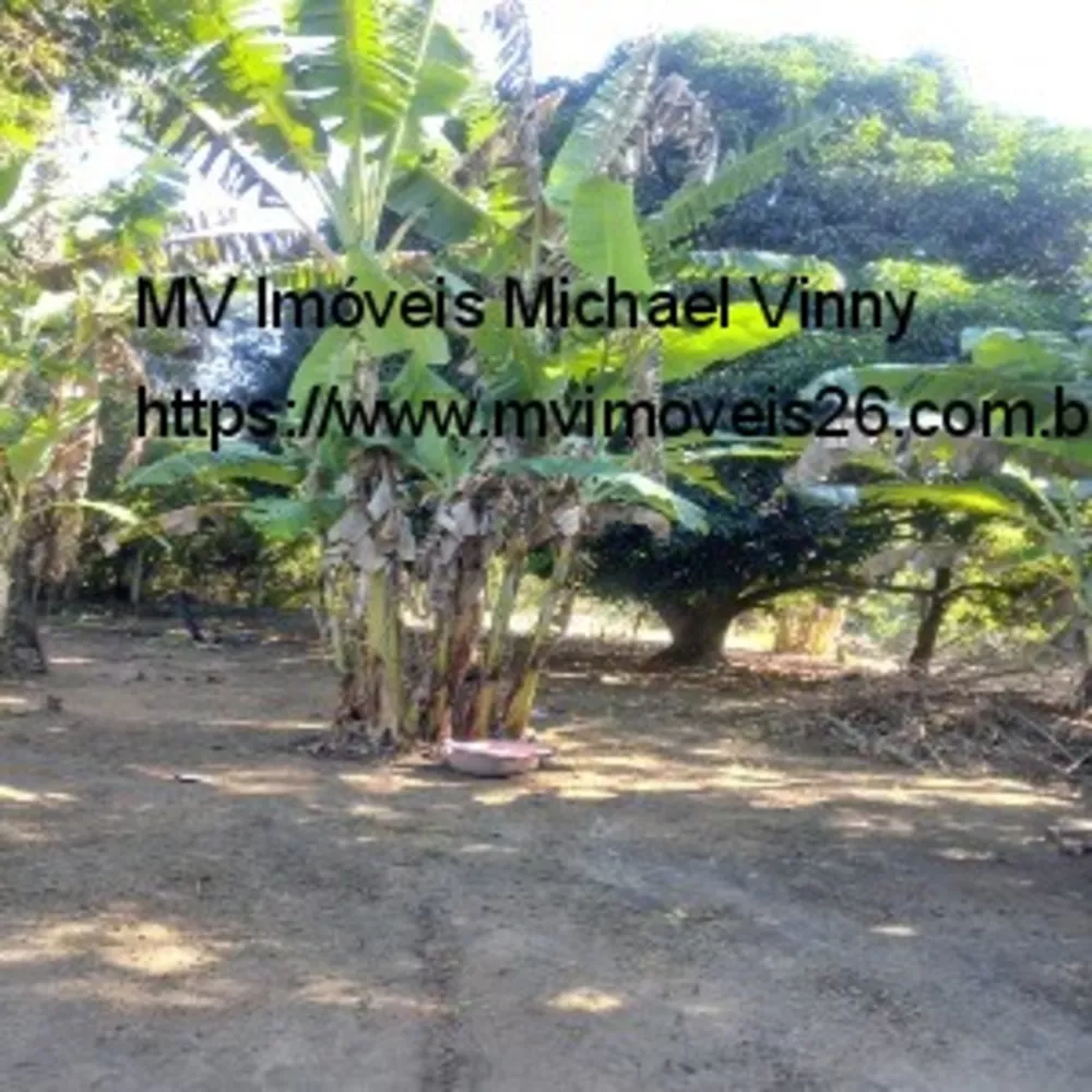 Terreno, 2000 m² - Foto 3