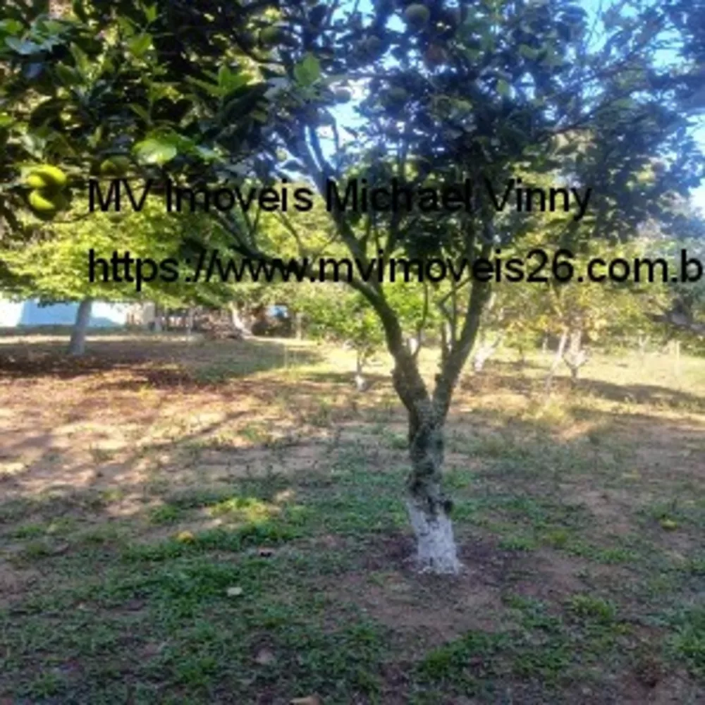 Terreno, 2000 m² - Foto 7