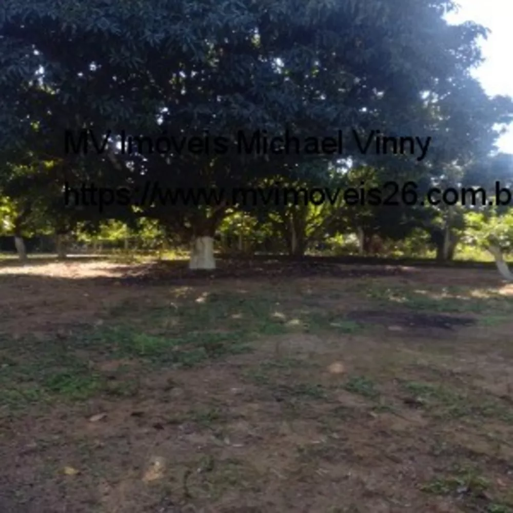 Terreno, 2000 m² - Foto 4