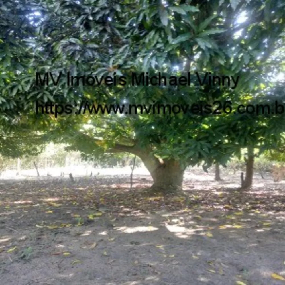 Terreno, 2000 m² - Foto 11