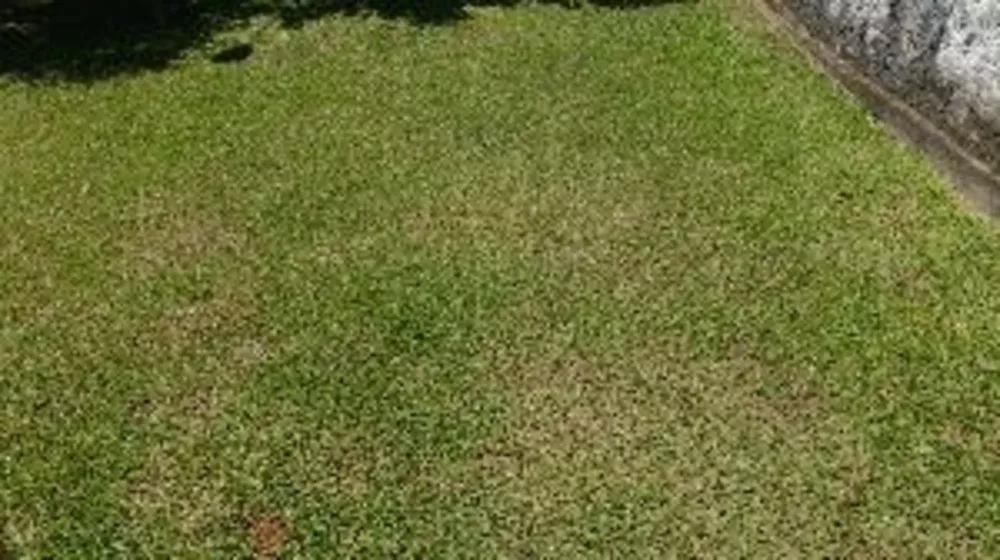 Casa, 2 quartos, 160 m² - Foto 6