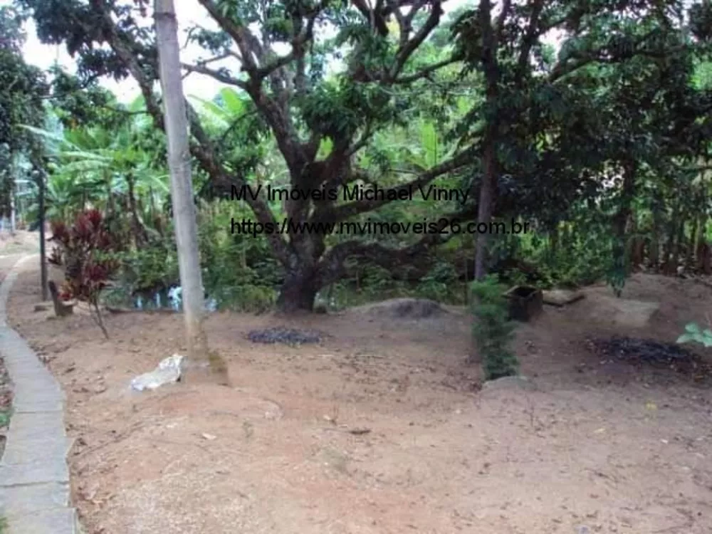 Sítio, 3 quartos, 3600 m² - Foto 8