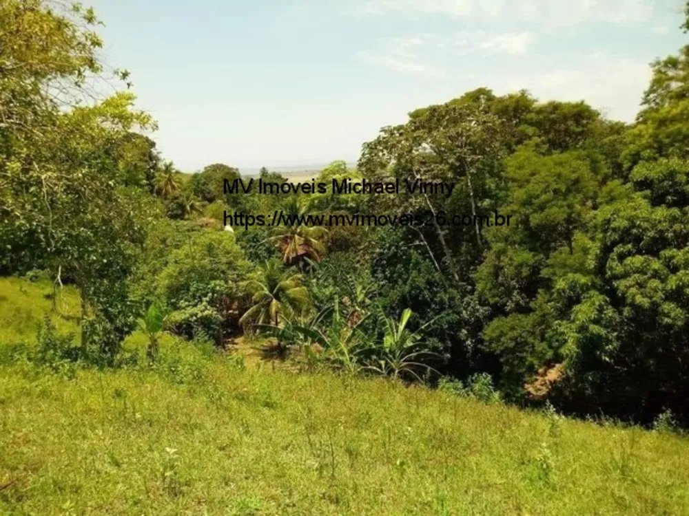 Sítio, 3 quartos, 3600 m² - Foto 3