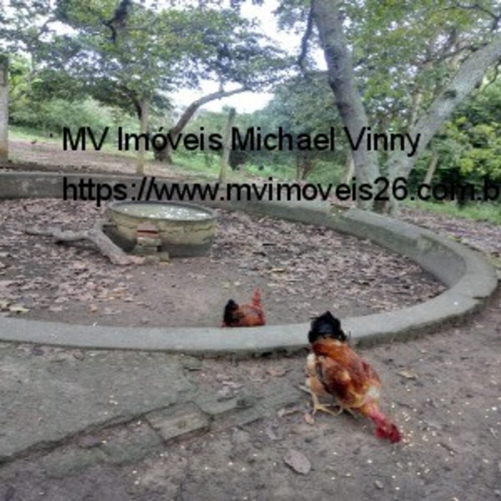 Chácara, 2 quartos - Foto 15