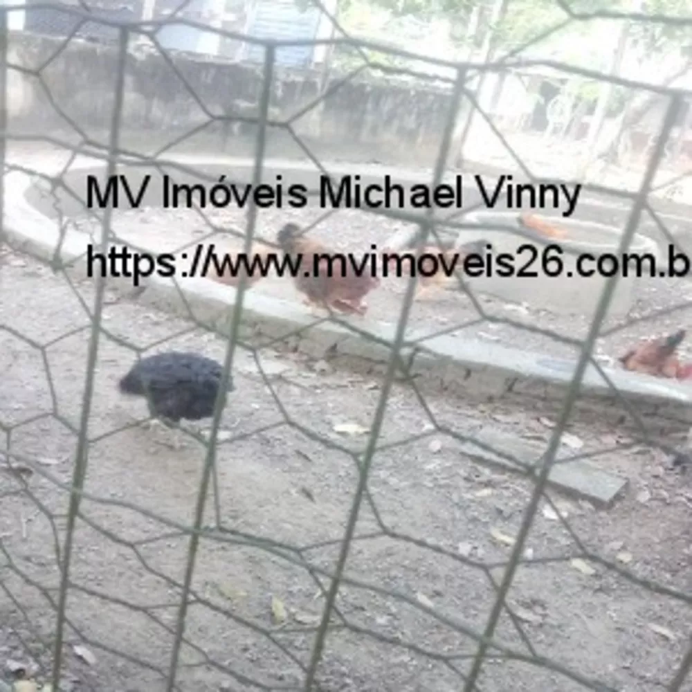 Chácara, 2 quartos - Foto 13