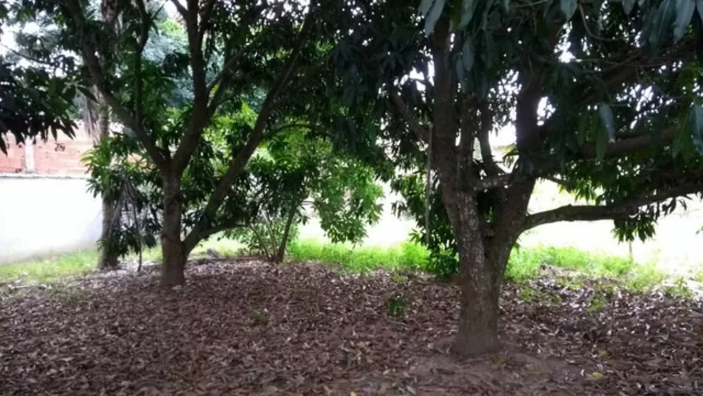 Terreno, 460 m² - Foto 10