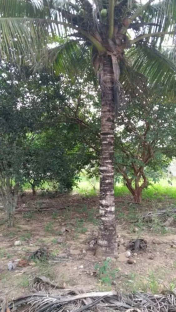 Terreno, 460 m² - Foto 7