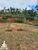Terreno, 329 m² - Foto 1