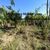 Terreno, 1120 m² - Foto 2
