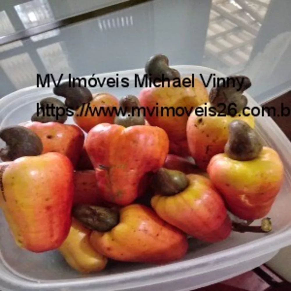 Sítio, 2 quartos - Foto 10