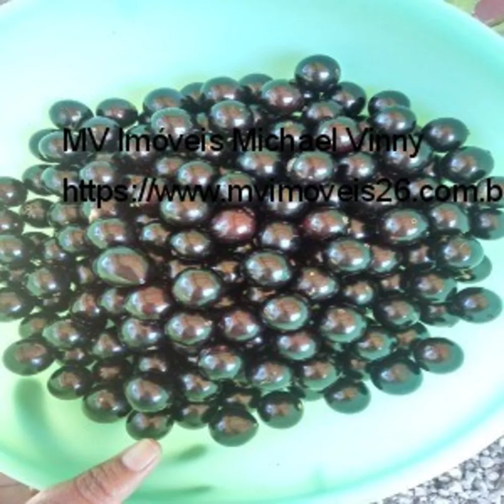 Sítio, 2 quartos - Foto 14