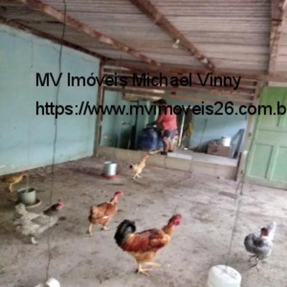 Sítio, 2 quartos - Foto 16